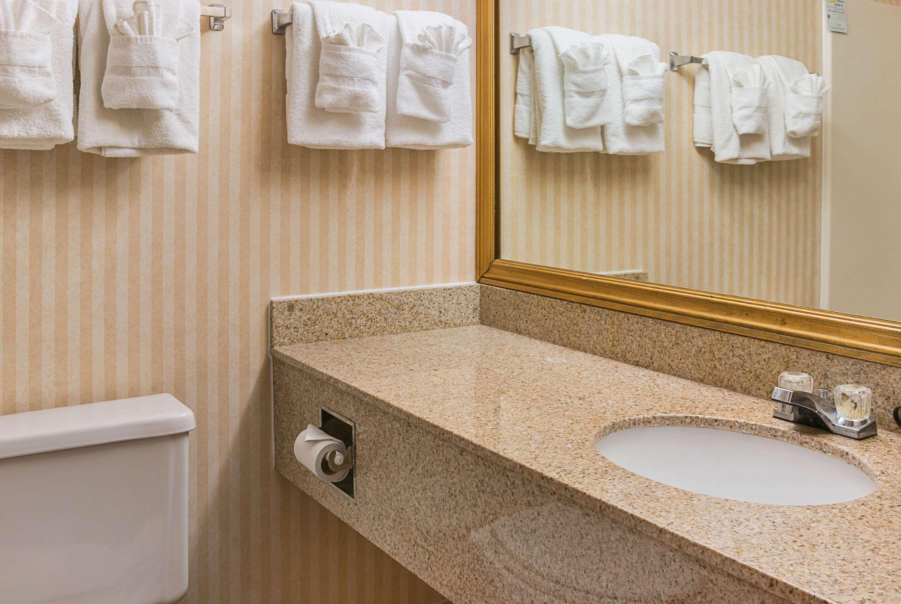 Quality Inn & Suites Detroit Metro Airport Ромулус Экстерьер фото